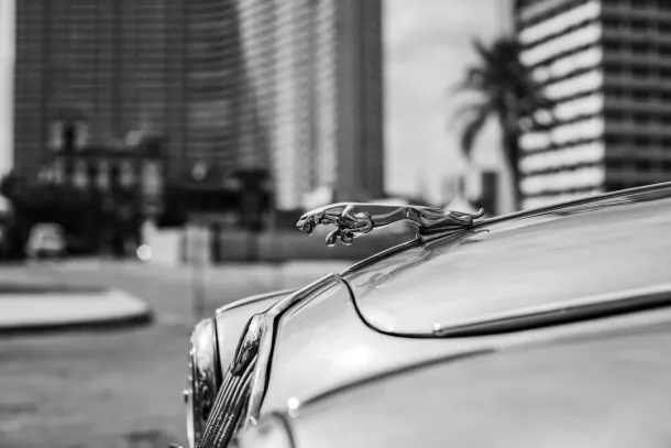 Казино Екстра Android/iOS приложение